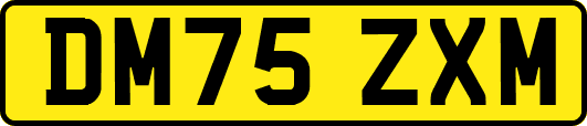 DM75ZXM