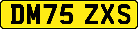 DM75ZXS