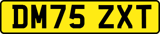 DM75ZXT