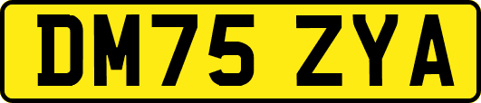 DM75ZYA