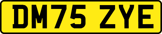 DM75ZYE
