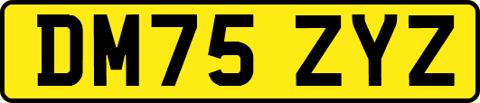 DM75ZYZ