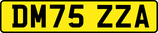 DM75ZZA