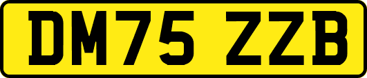 DM75ZZB