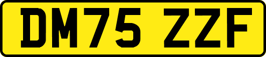 DM75ZZF