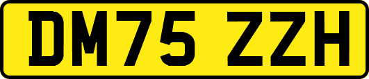 DM75ZZH