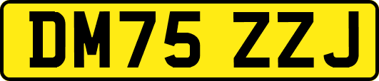 DM75ZZJ