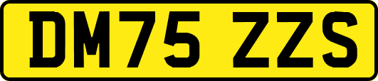 DM75ZZS