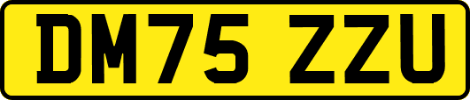 DM75ZZU