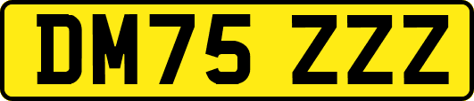 DM75ZZZ