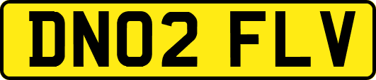 DN02FLV