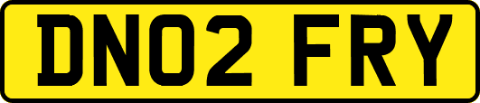 DN02FRY