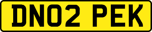 DN02PEK