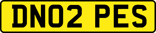 DN02PES