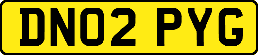 DN02PYG
