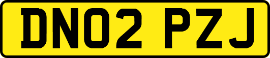 DN02PZJ