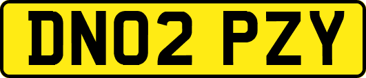 DN02PZY