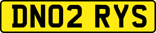 DN02RYS