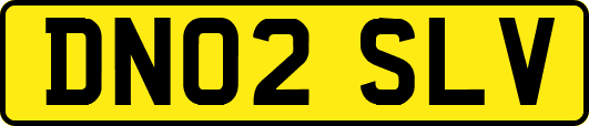 DN02SLV