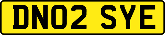 DN02SYE