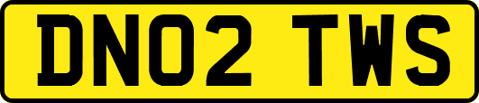 DN02TWS