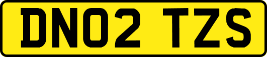 DN02TZS