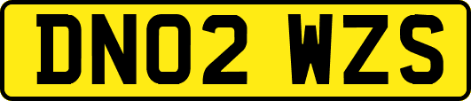 DN02WZS