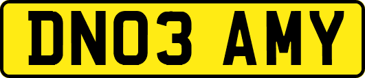 DN03AMY