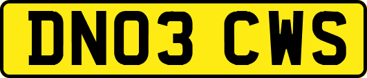 DN03CWS