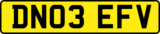 DN03EFV