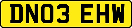 DN03EHW