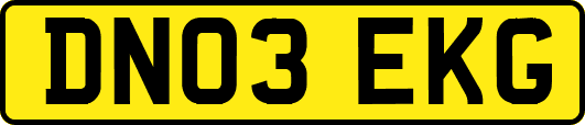 DN03EKG