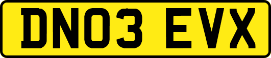 DN03EVX