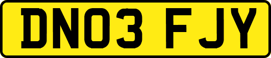 DN03FJY