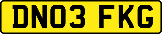 DN03FKG