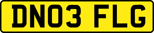 DN03FLG