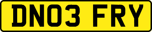 DN03FRY
