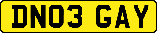 DN03GAY