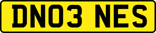 DN03NES