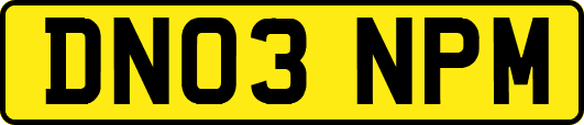 DN03NPM