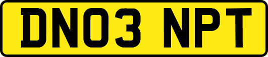 DN03NPT
