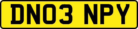 DN03NPY