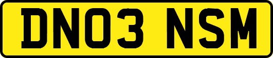 DN03NSM