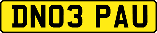 DN03PAU