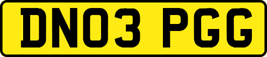 DN03PGG