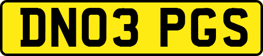 DN03PGS