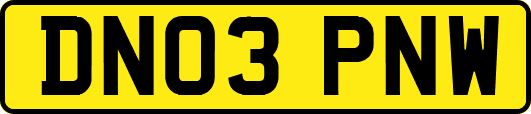 DN03PNW