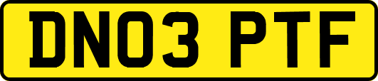 DN03PTF