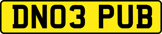 DN03PUB