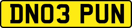 DN03PUN